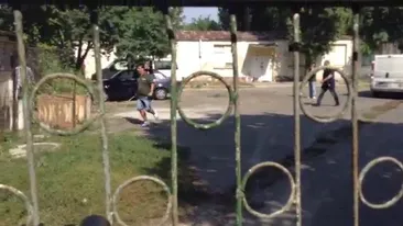 Imagini INCREDIBILE in centrul Capitalei. Maidanezii UCIGASI alergati cu pusti de oamenii legii