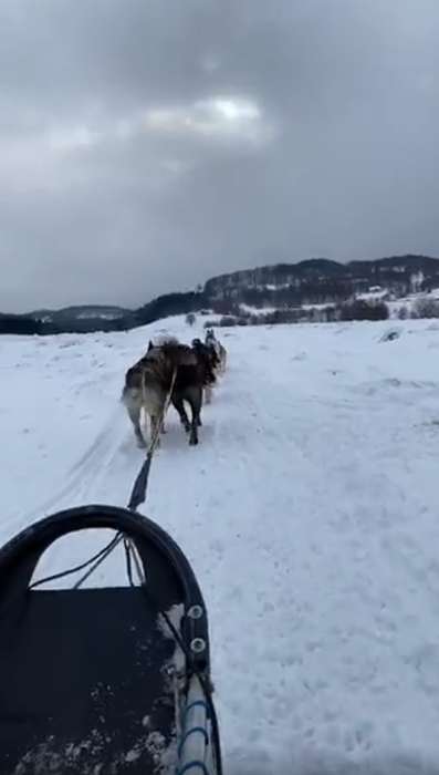 Francezii sunt fascinați de traiul în natură
