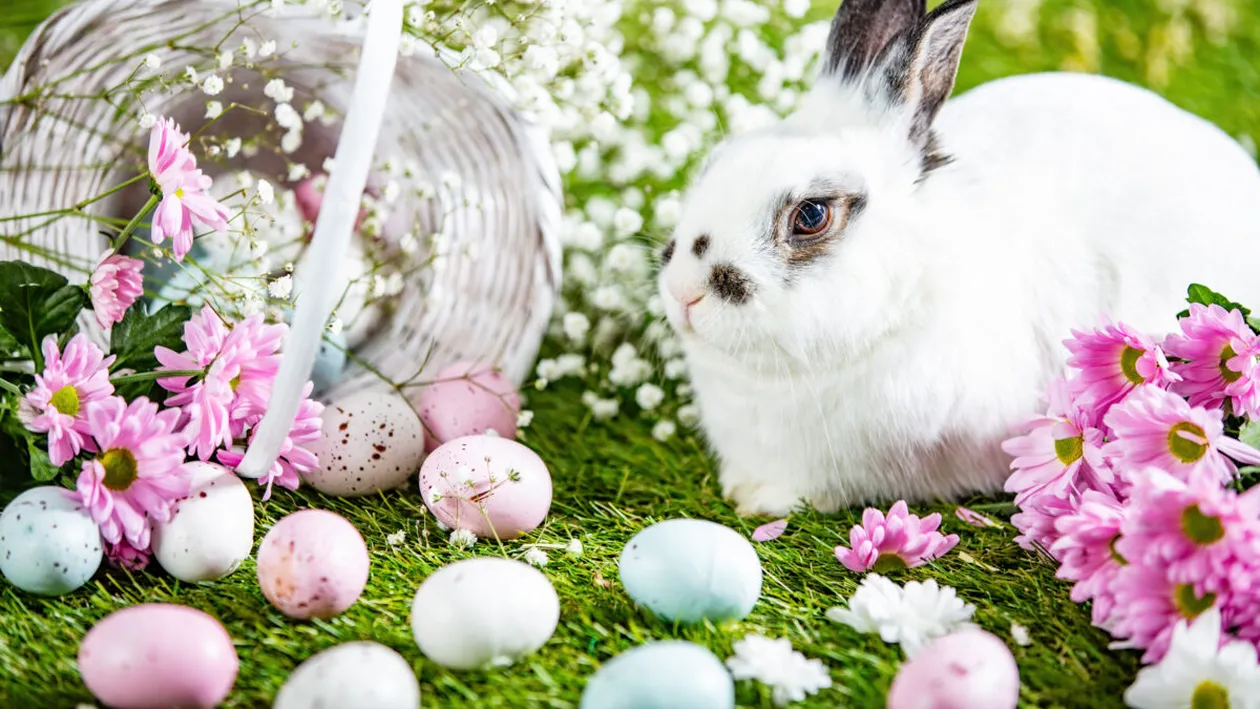 Legenda Iepurașului de Paște: cum a apărut și ce rol are. Povestea lui îți va schimba perspectiva asupra sărbătorii