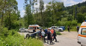 Galerie foto - poza 4