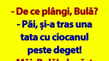 BANC | „De ce plângi, Bulă?”