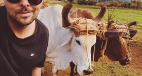 Galerie foto - poza 4