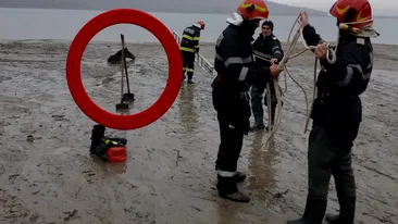 Misiune dificilă și inedită pentru pompierii din Argeș. Au salvat un cal îngropat în mâl - VIDEO
