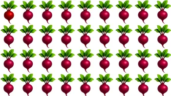 Test IQ exclusiv pentru genii | Găsiți ridichea diferită, în maximum 6 secunde