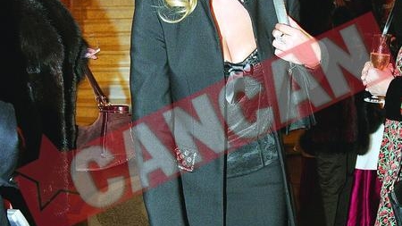Elena Udrea infiereaza axa PNL-PSD-PC