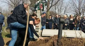 Galerie foto - poza 1