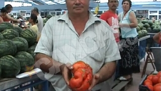 Rosii gigant in Mehedinti