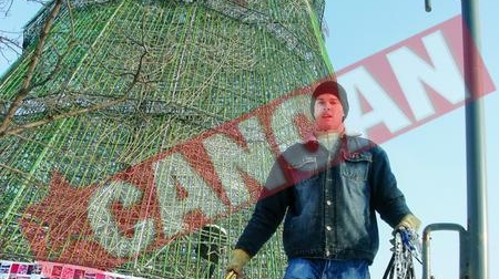 Bradul urias din Piata Unirii pleaca in Brazilia si Portugalia