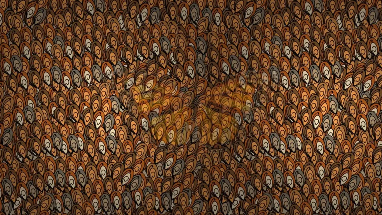 Iluzie optică virală | Ce vietate se ascunde în această fotografie?