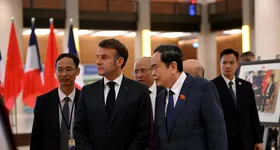 Galerie foto - poza 3