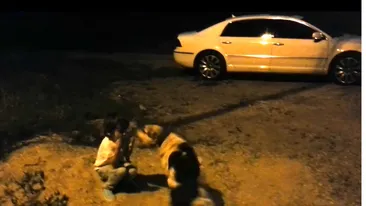 La un pas de tragedie! Fiul lui Calin Geambasu, atacat de un maidanez! Vezi cum a sarit sa-l muste de fata pe micutul de patru ani