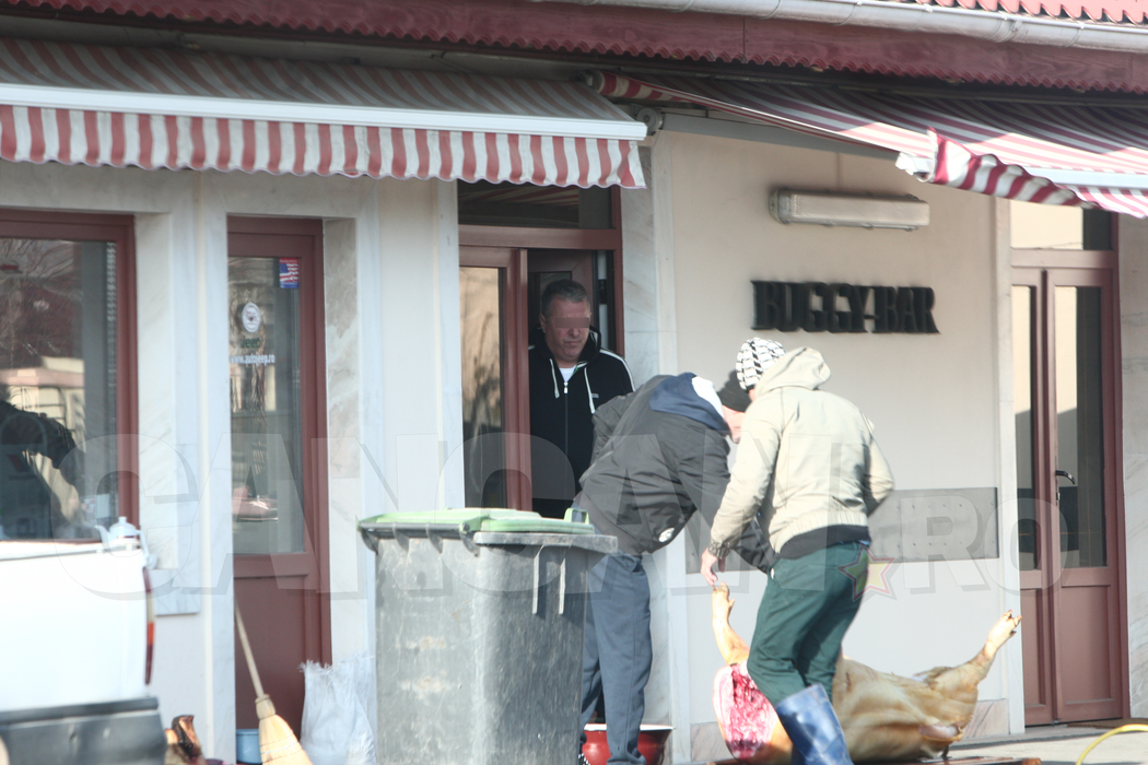 Cum s-a tăiat porcul la barul „Buggy”, de lângă casa lui Gigi Becali. Localul a fost făcut celebru de către verii Becali