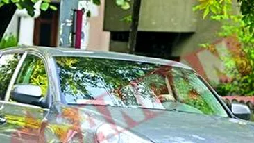 Luminita Anghel, la afaceri cu David