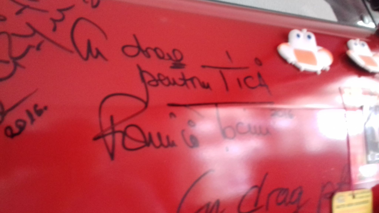 Romică Țociu a fost una dintre vedetele pensiunii