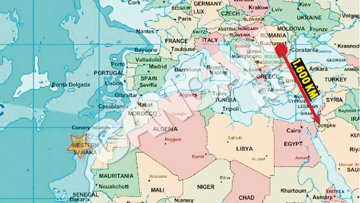 Interlopul urmarit international a stat la taclale pe Messenger cu un reporter CANCAN sub acoperire. Boenica face videochat din Iordania