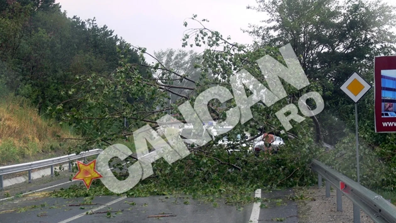 Copaci rupti, drumuri blocate! Prapad in Turnu Severin dupa o furtuna de numai cinci minute