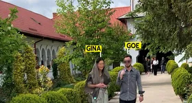 Galerie foto - poza 4