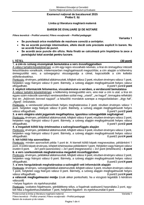 Bacalaureat 2025. Barem de notare + Rezolvarea subiectelor la limba maghiară, germană, ucraineană, italiană, sârbă și croată