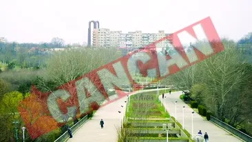 Cazul Bordei prinde contur in parcul Tineretului