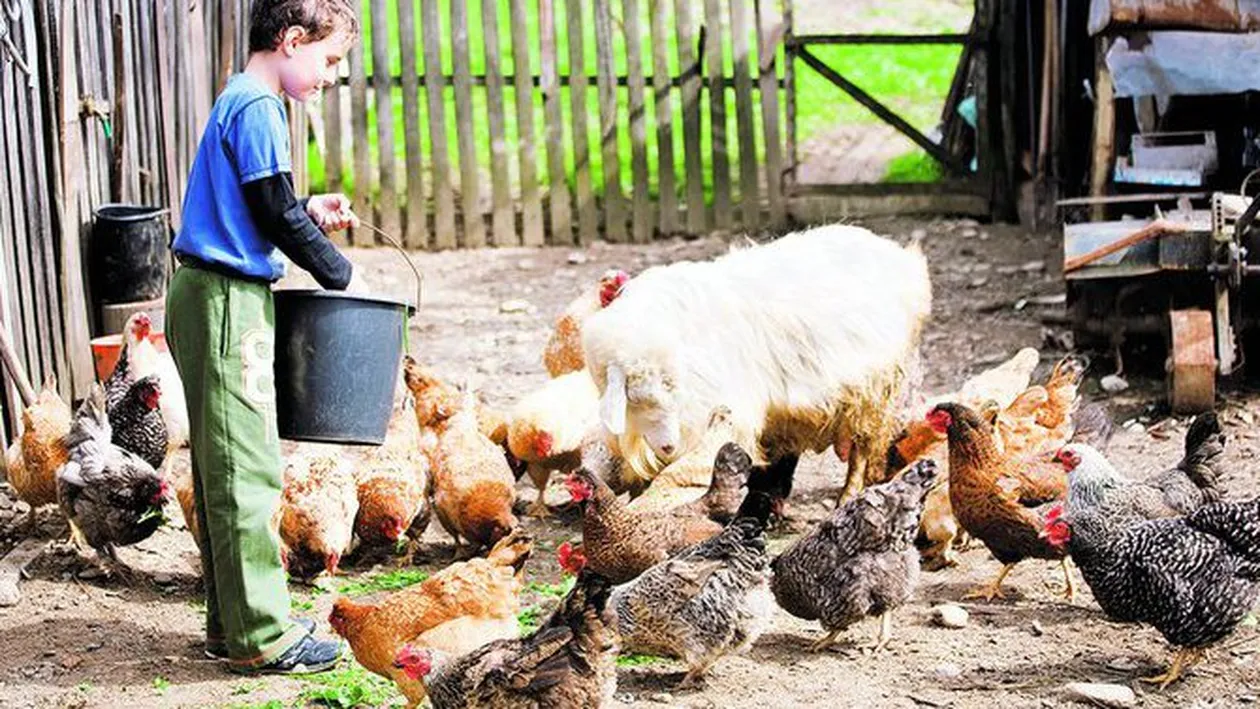 Noi conditii pentru subventia de caldura!