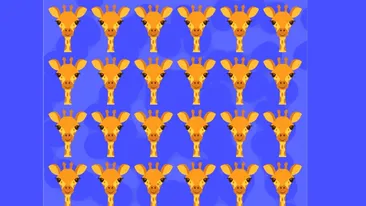 Test de logică | Care dintre cele 24 de girafe este diferită de celelalte 23?