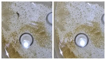 Un bărbat din Câmpina a stârnit un val de controverse după ce a filmat apa de la robinet. Ireal ce conținea, de fapt