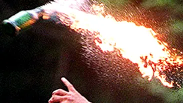 Atac cu sticle incendiare la casa unui om de afaceri din Iasi