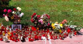 Galerie foto - poza 3