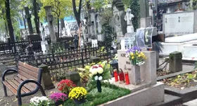 Galerie foto - poza 4