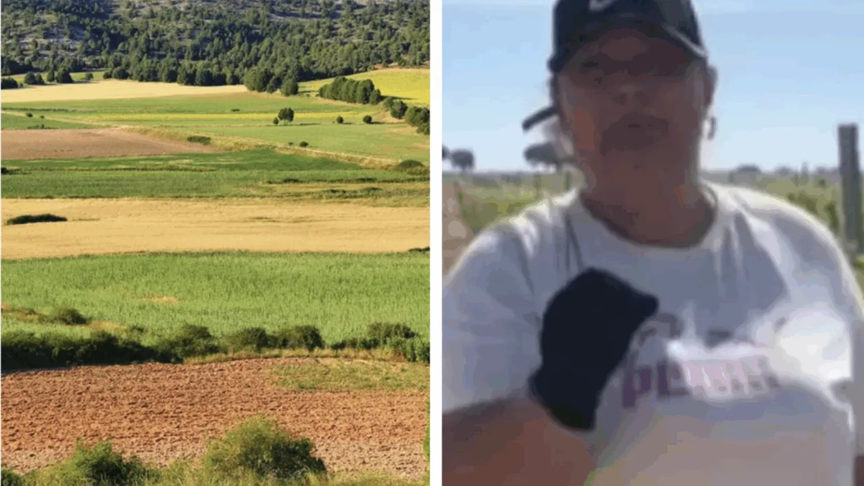 Cât oferă Marinela din Spania pentru munca la vie. Anunțul ei a devenit viral pe TikTok