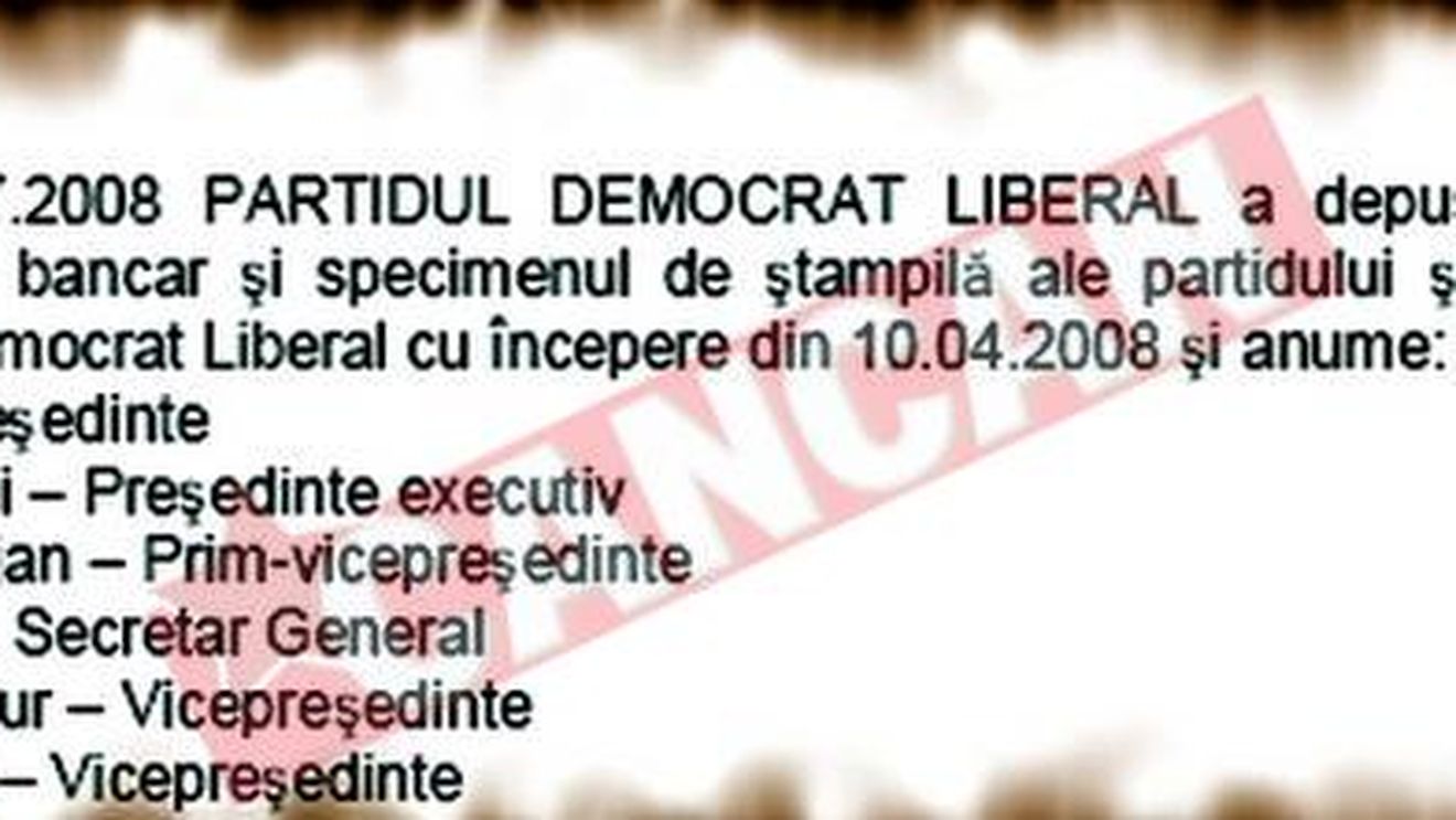Un necunoscut a ajuns presedinte executiv al PD-L