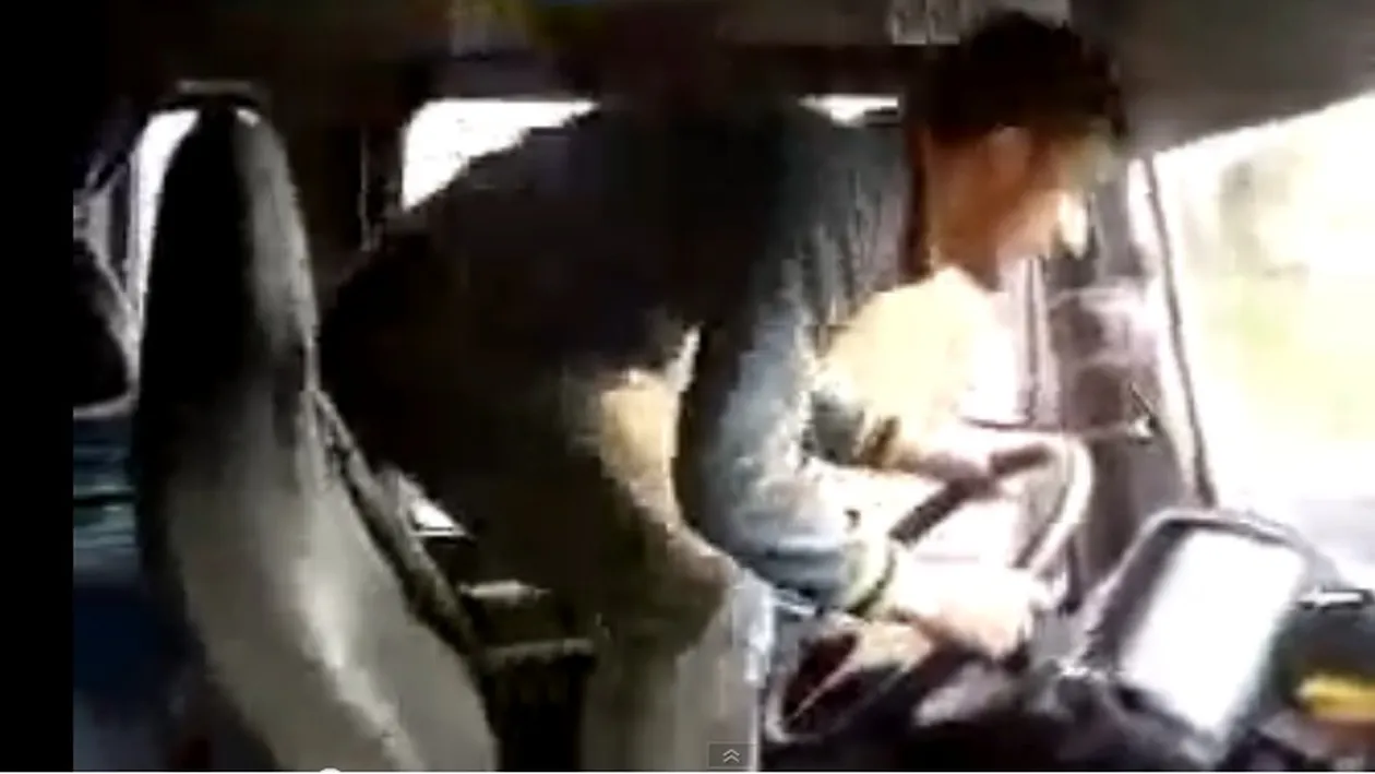 Il mai tineti minte pe Tarzan, spaima soselelor? Este incredibil ce face acum si cine a bagat “frica” in el!