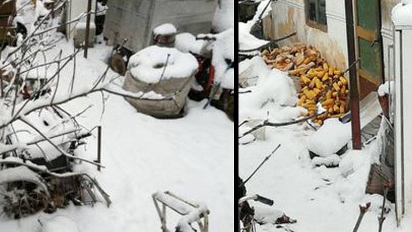 Legiștii au stabilit cauza decesului bătrânului din Alba găsit mort în frigider! Era putred de bogat!