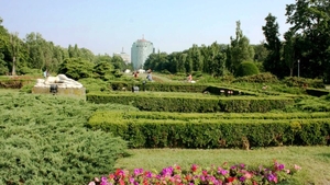 Ce se intampla ACUM in Parcul Herastrau! Schimbarea URIASA pe care nimeni nu o intuia