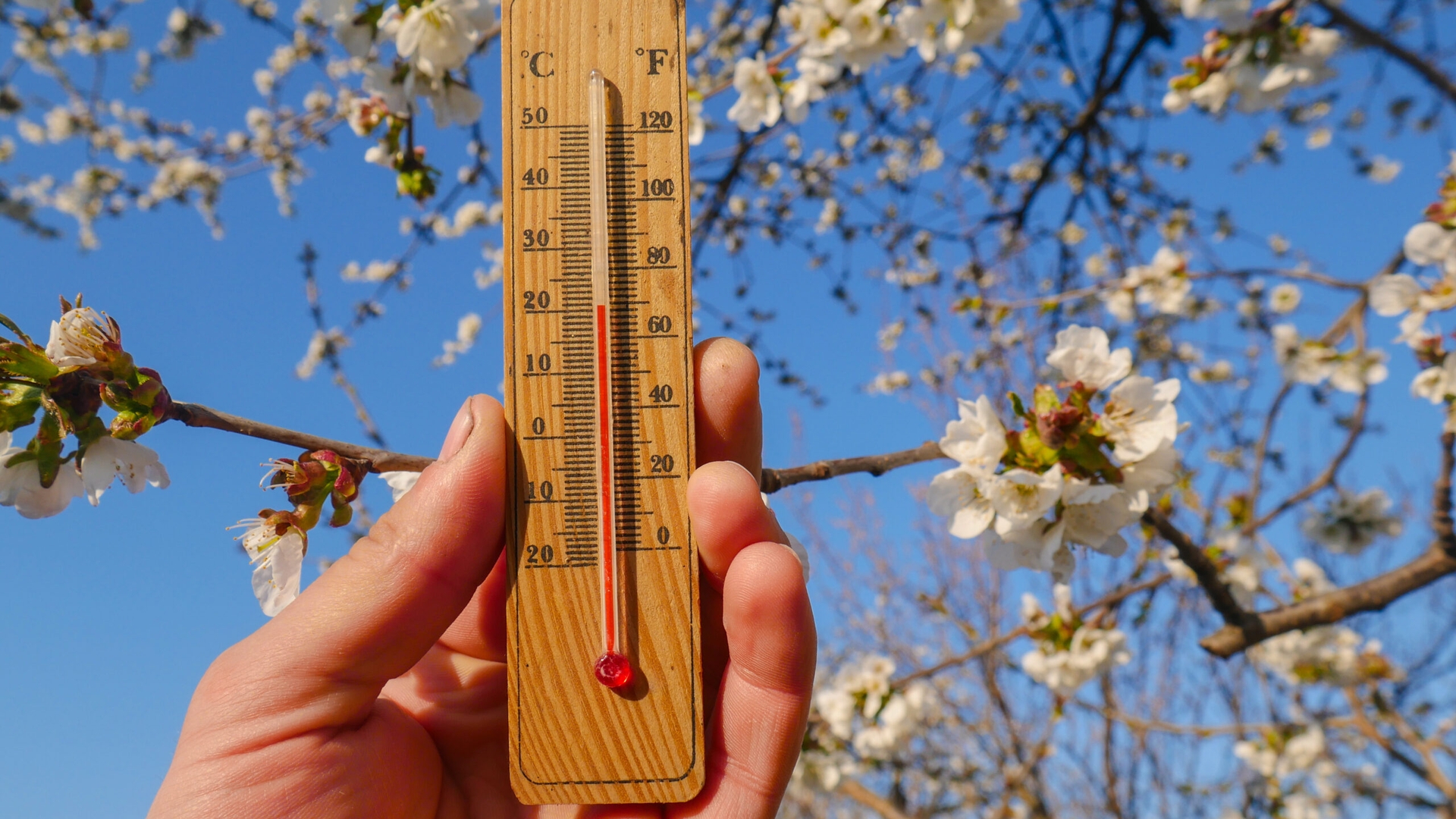 Prognoza meteo azi, 16 martie 2026. Zonele din România în care temperaturile ating 17 grade în termometre
