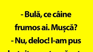 BANC | Câinele lui Bulă