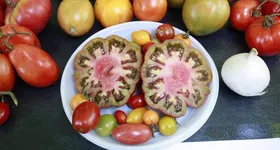 Galerie foto - poza 1