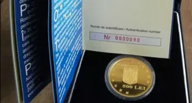 Galerie foto - poza 4