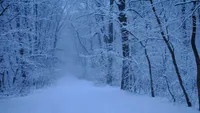 Vreme anormal de rece în următoarele zile! Anunţul meteorologilor