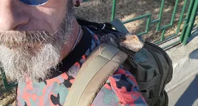 Galerie foto - poza 3