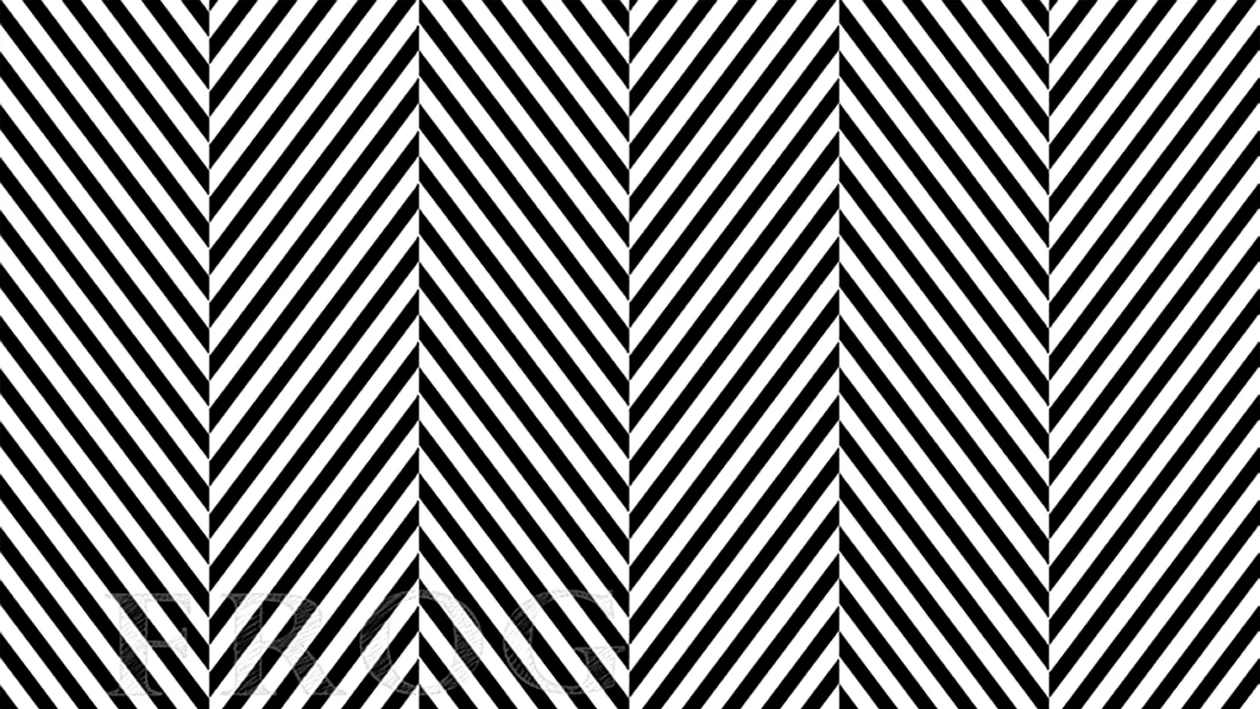 Iluzie optică virală | Ești un geniu dacă ne poți spune ce animal se ascunde în această imagine