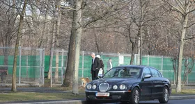 Galerie foto - poza 2