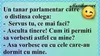 BANCUL ZILEI | Tânărul parlamentar și distinsa colegă
