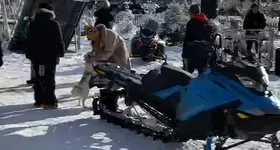 Galerie foto - poza 4