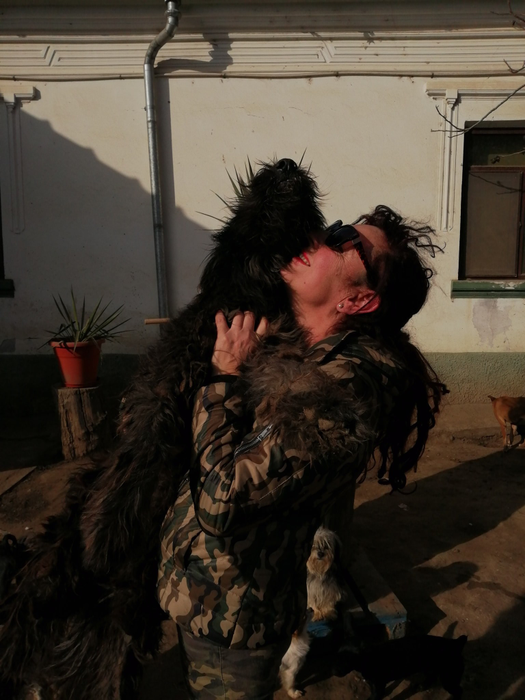 Ce s-a ales de câinii monstrului din Caracal! Imagini noi cu animalele care au îngrozit-o pe Alexandra Măceșanu: “Dincă le ținea în lanțuri”