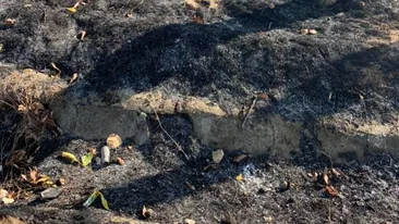 Piroman căutat de oamenii legii. Toaleta sediului de Poliţie din Laloşu a fost incendiată