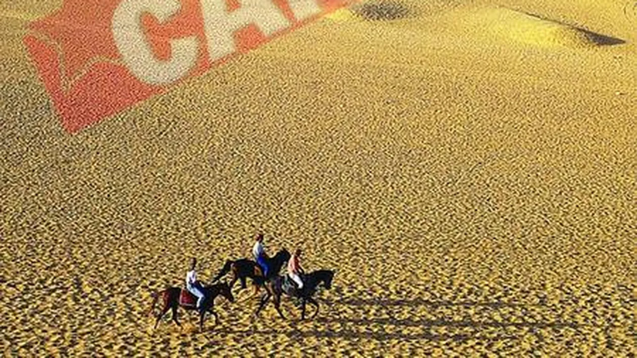 Drepturi de autor pe piramide