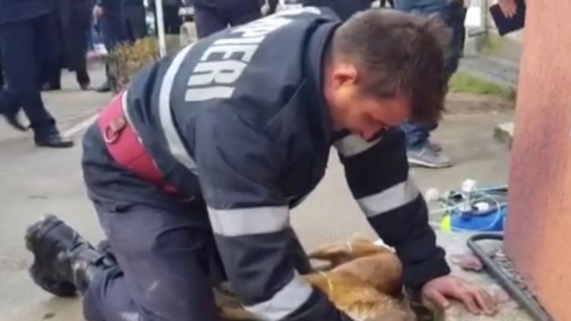 Anunţul făcut de pompierul erou despre căţelul pe care l-a salvat: "Am sunat la adăpost şi..."