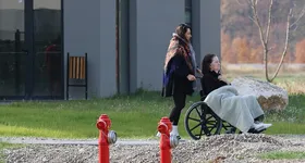 Galerie foto - poza 2