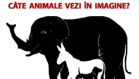 Testul IQ care îți spune cât de deștept ești: Câte animale vezi în imagine?!